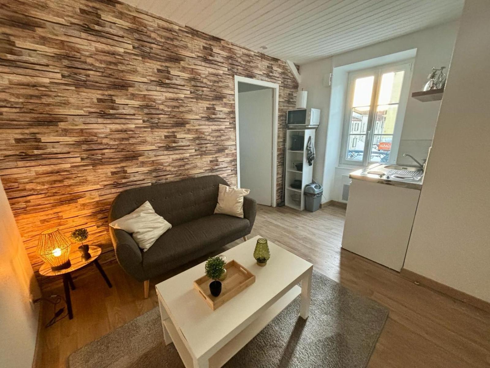 Appartement Chaleureux ลารอช-ซูร์-ยง ภายนอก รูปภาพ